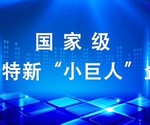 江蘇坤澤成功入選第四批國家級專精特新“小巨人”企業